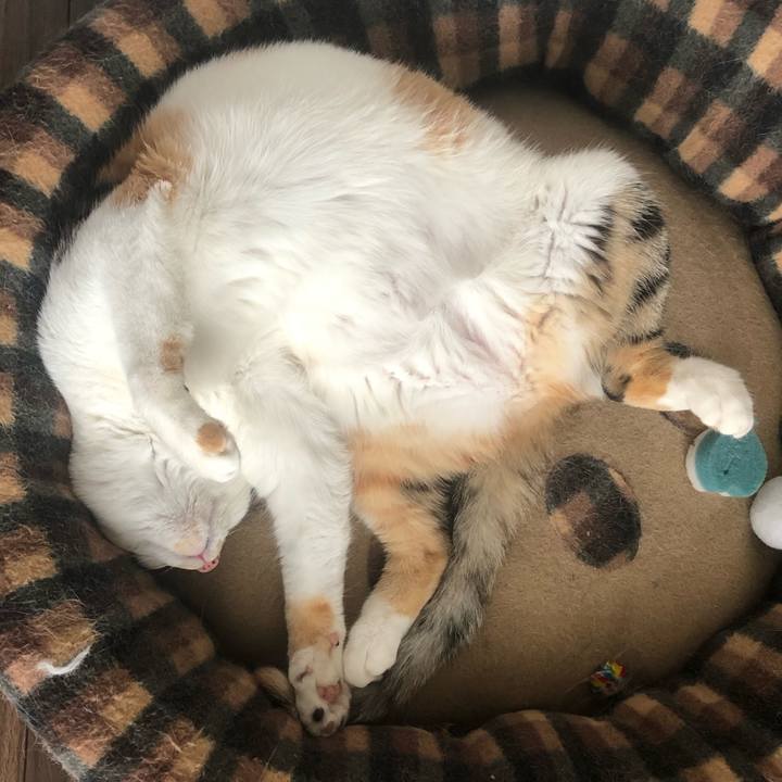 5b012ab9 aece 46cc 8dae 85cf3af75e27 1590898118145