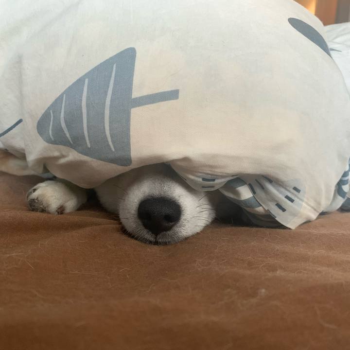 5b013a33 d1b1 4d6e 9a49 aa48ad78c0d7 1623161124128