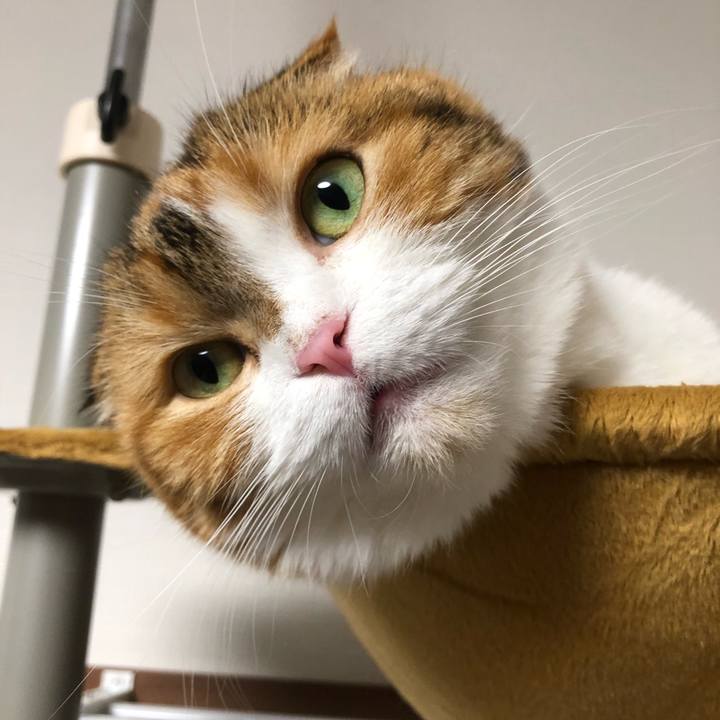 5b013c35 74af 4971 8408 258d49bcb13b 1601990540893