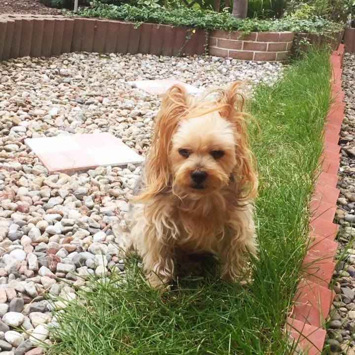 5b017a85 57ce 43e7 b654 d1f1815568d8 1533801677110