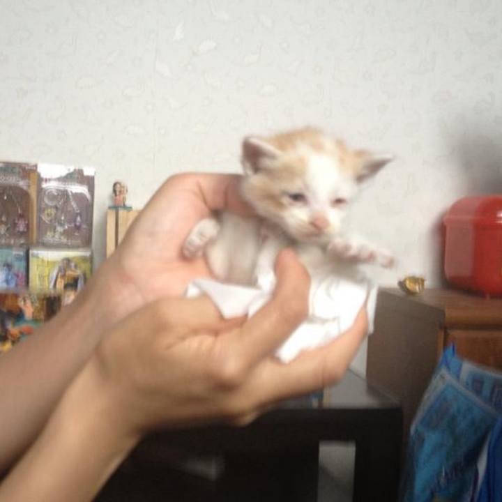 5b017c5f fa8c 40a9 b380 e480de0ec3d4 1643455545651