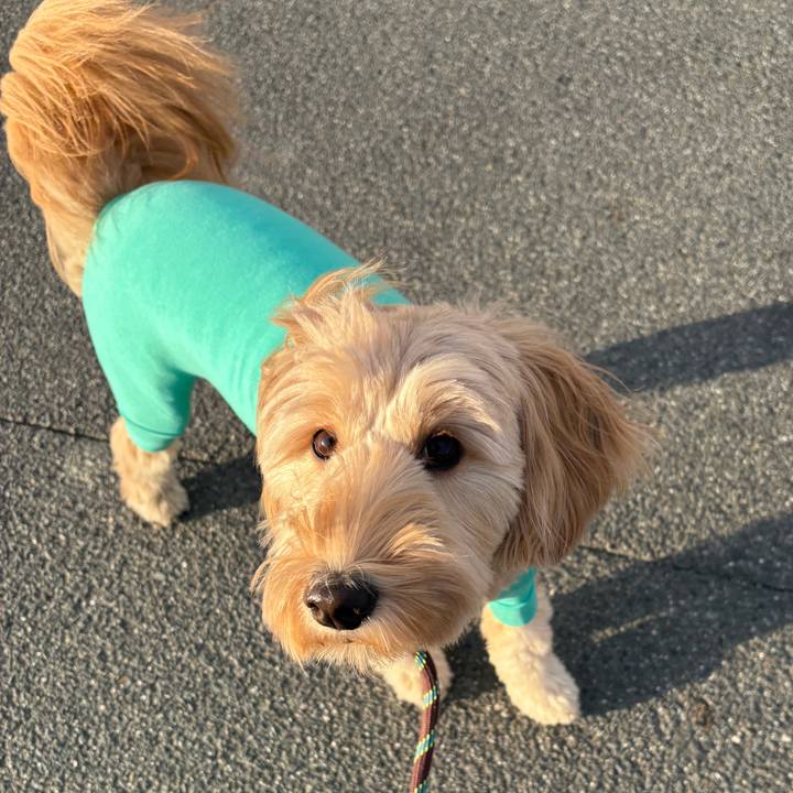 5b01c47c e570 4ea2 98cd db0a6f88f2bb 1764764655155