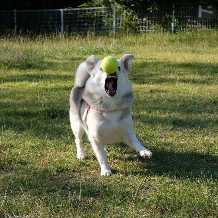 5b02039c ece4 483d a676 76972b505730 1634195228896