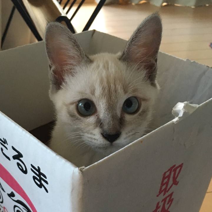 5b021f00 c6a2 4570 ad2c 63d614b8c068 1534149465691