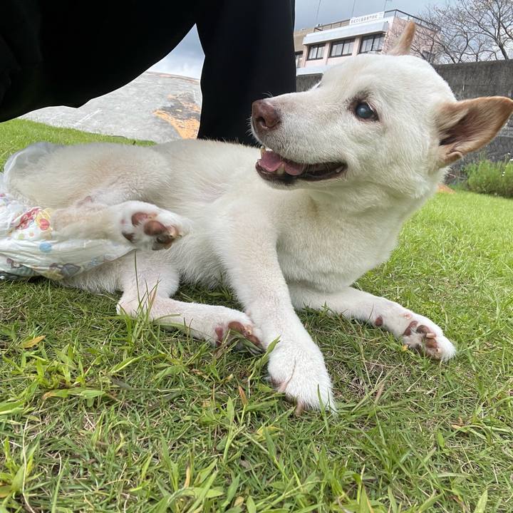 5b02276d b3d5 48ae 9604 e8a196d06679 1664884649556