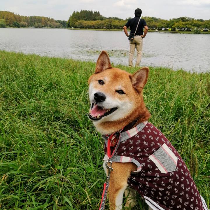 5b022a2e 3579 4767 a42d de4415df8ba1 1601801541914