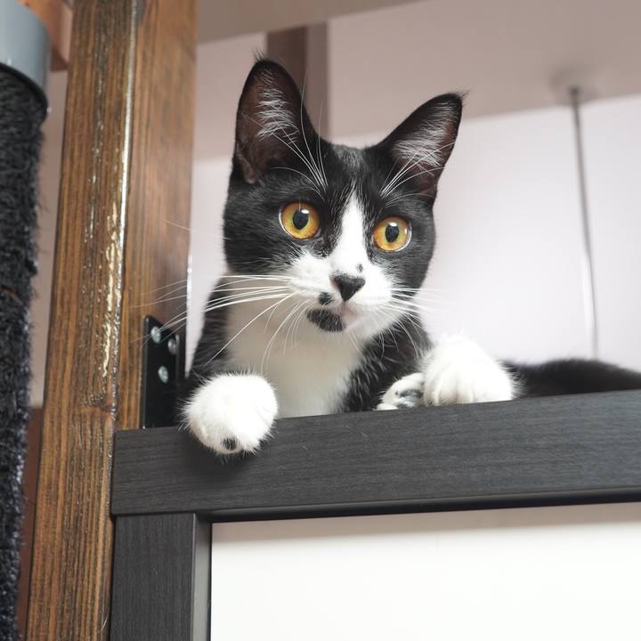 5b02acf2 3466 41e3 ada4 74b4beb947ee 1602771960417