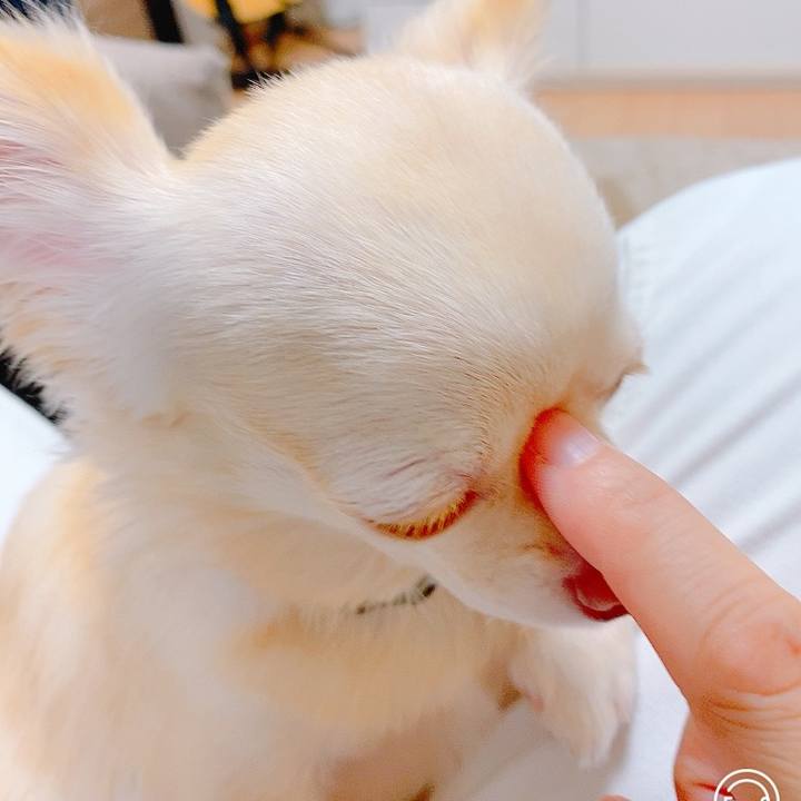 5b02e3ed 2d84 4533 ab25 063fe5a961aa 1630666111480