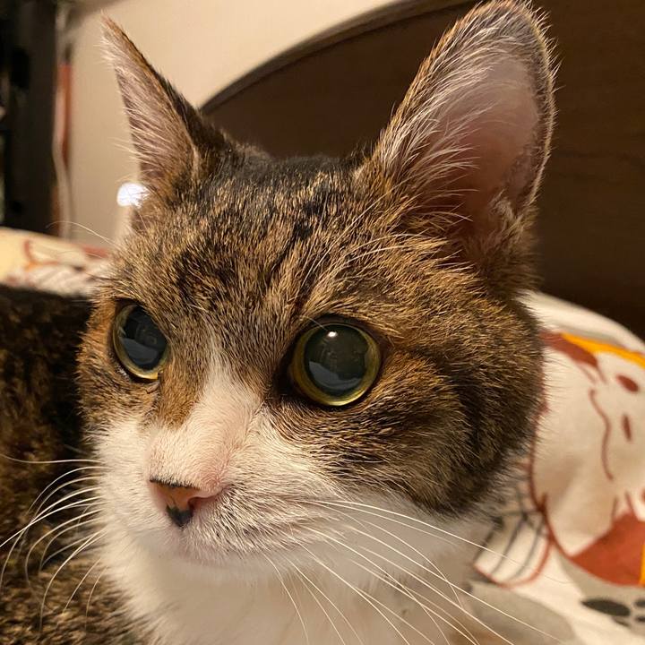 5b02e44d 5aeb 4900 9d24 9de5fdffc214 1628292692595