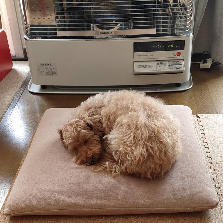 5b031237 98f8 42af 9b4a 61361ba5e30e 1580606426628