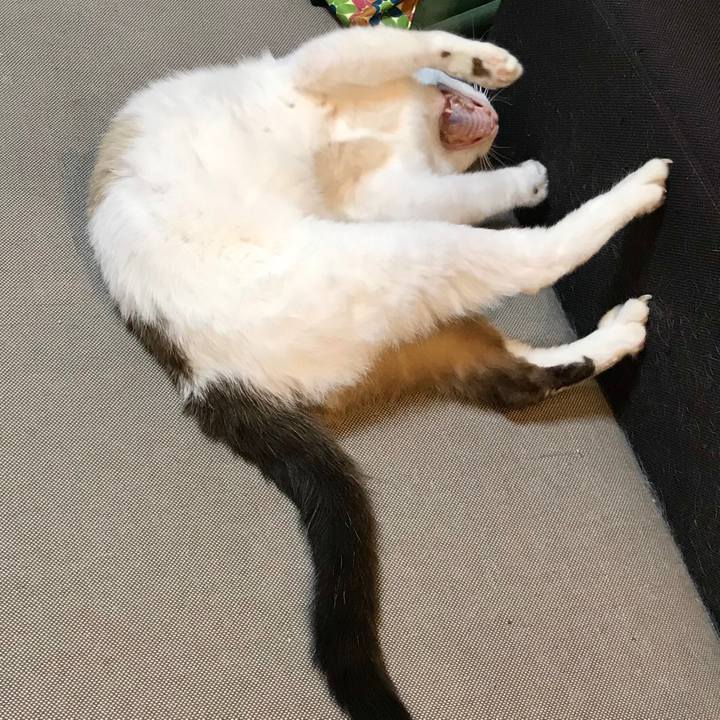 5b0335fc 753e 4609 bea1 8a9c65004d7b 1592458143268