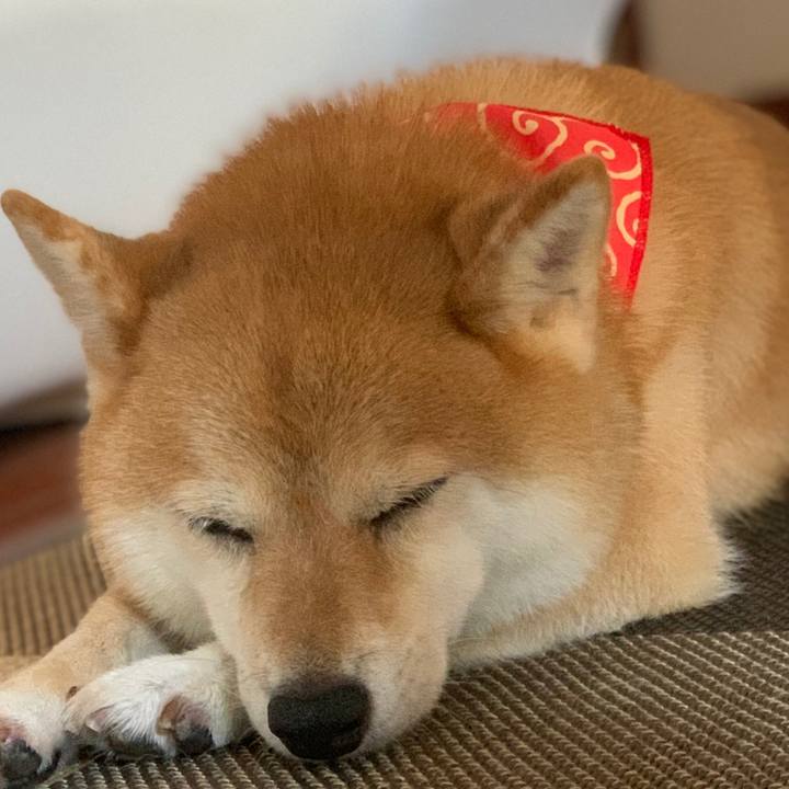 5b034703 6cea 4bd7 8576 a3d029a5ce7f 1564905934753