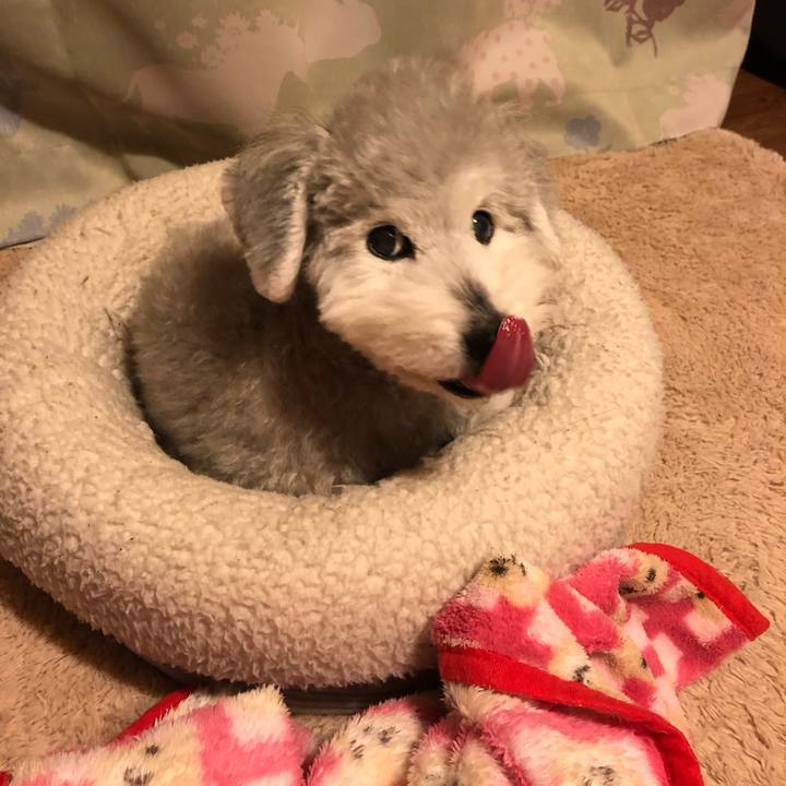 5b03582f 40e2 4f43 8692 aed4c8586d2c 1616161423860