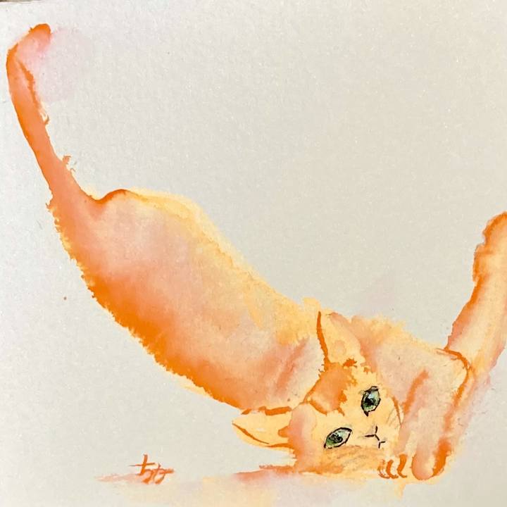 5b0361e3 0920 4d70 9636 9a872b095214 1730981208100