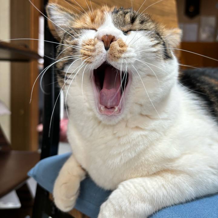 5b0369dd 2378 457e 8ed4 512f6f05f07e 1709096443449