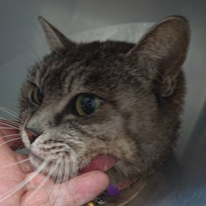 5b03a85b 5637 4467 88b4 d76839df84c1 1585797274230