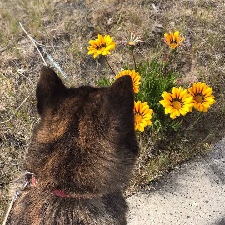 5b03b9ed 29e2 4456 9878 b6a514fdbd3e 1558345611445