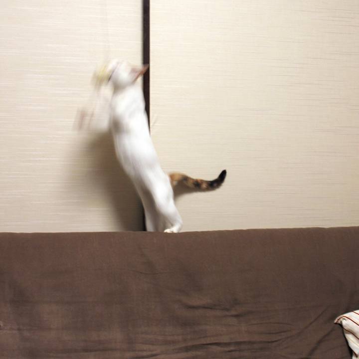 5b03d457 2aa9 48b3 b516 81bb6b295c0b 1548546601301