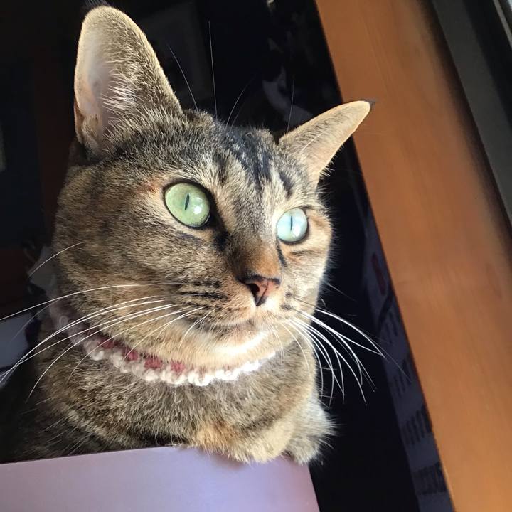 5b043fdf 5d5f 4a32 b609 d493e164effc 1660820133580