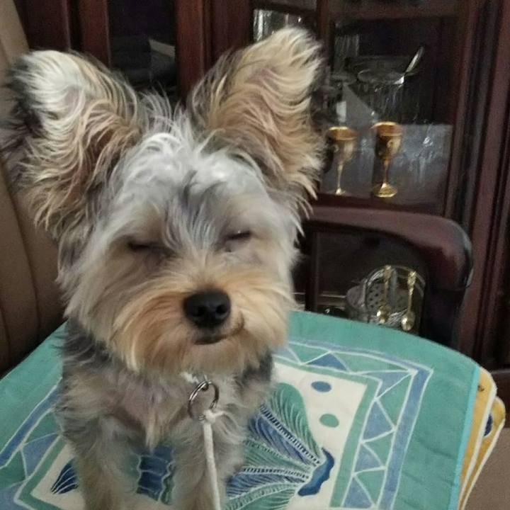 5b0478df a772 4245 83fa 6b2010ffd330 1538128943132