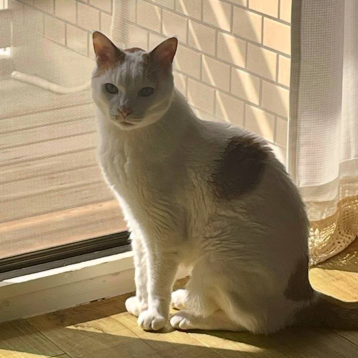 5b0489f1 3473 4740 819d d9862a3e318f 1747956993395