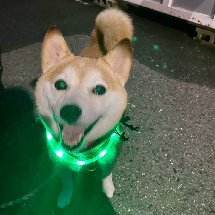 5b04a03b 795d 4431 9366 6724fa1c372f 1629464137481