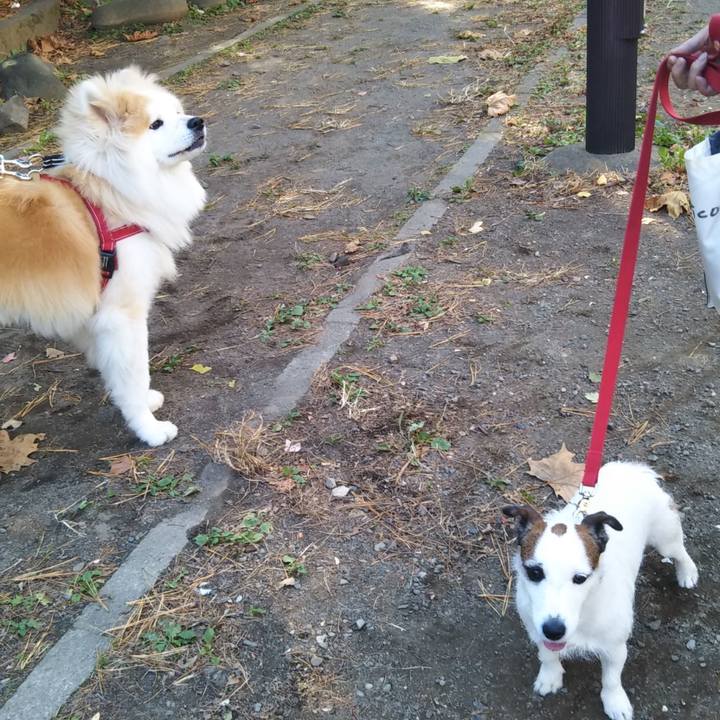 5b04a4ef 0f76 47e3 bc7a c6eb9039d7ad 1606569171581