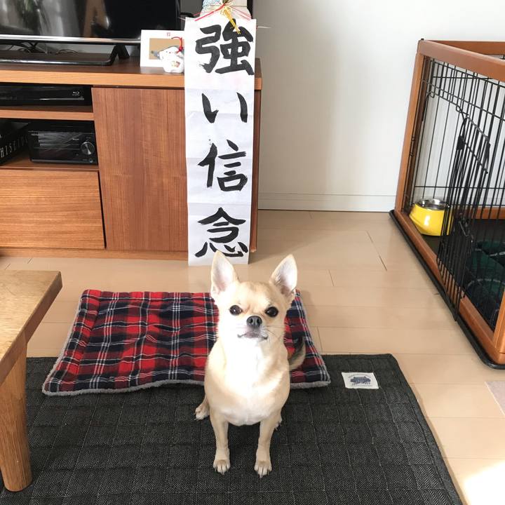 5b04a63d 17e1 4b90 ad70 c0253b6ffac0 1546395298036