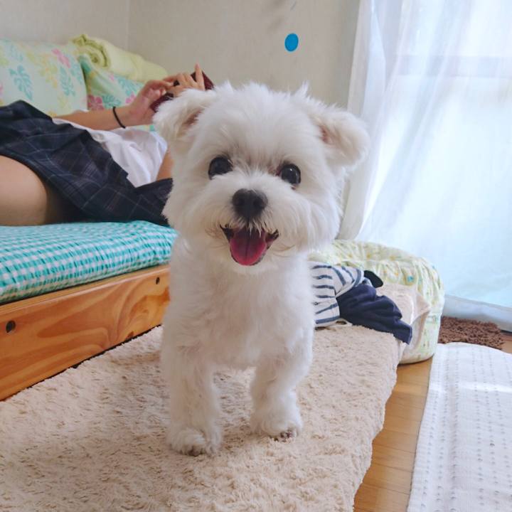 5b04c1af 09ea 4f3e 9111 96e165b75b0a 1531026405288