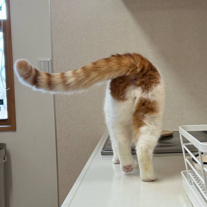 5b04f697 73ff 4cce 889c 5a675434ac35 1772932582905