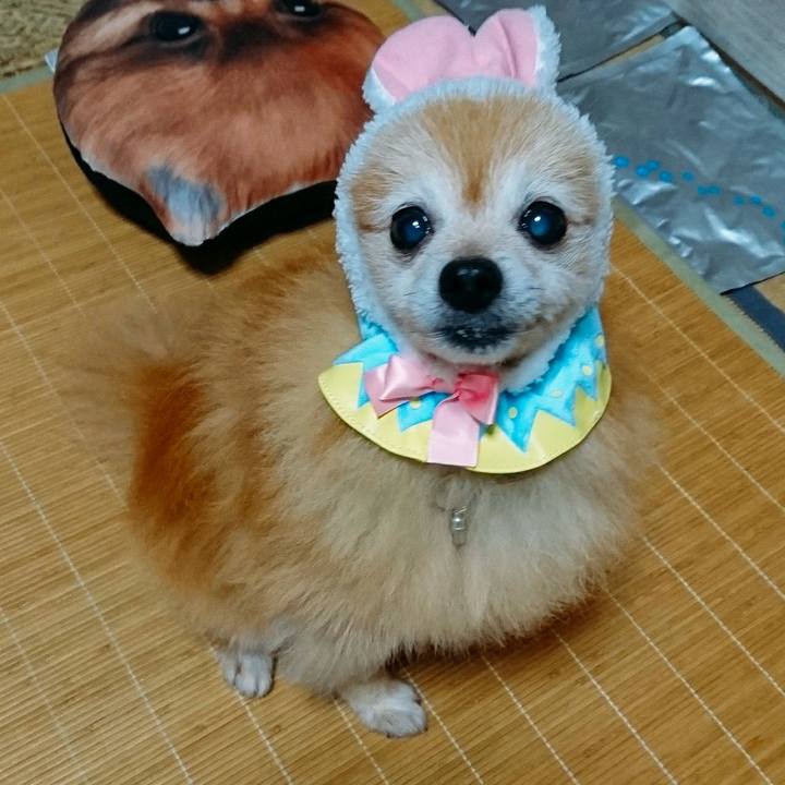 5b04f8c0 e5cd 4b6f 9b9c 23a57bbd0e67 1568379597788