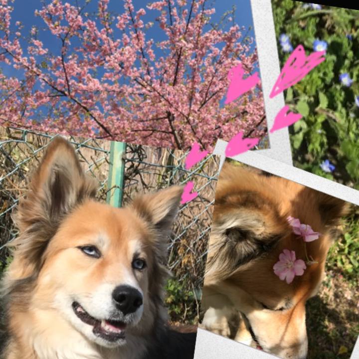 5b0513c2 a412 4637 9e76 b27695c4355a 1519970005744