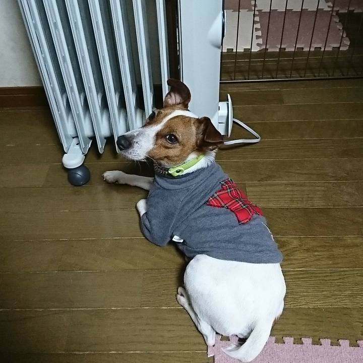 5b0552f3 30a1 4240 a2d2 ffc427d86118 1547987199094