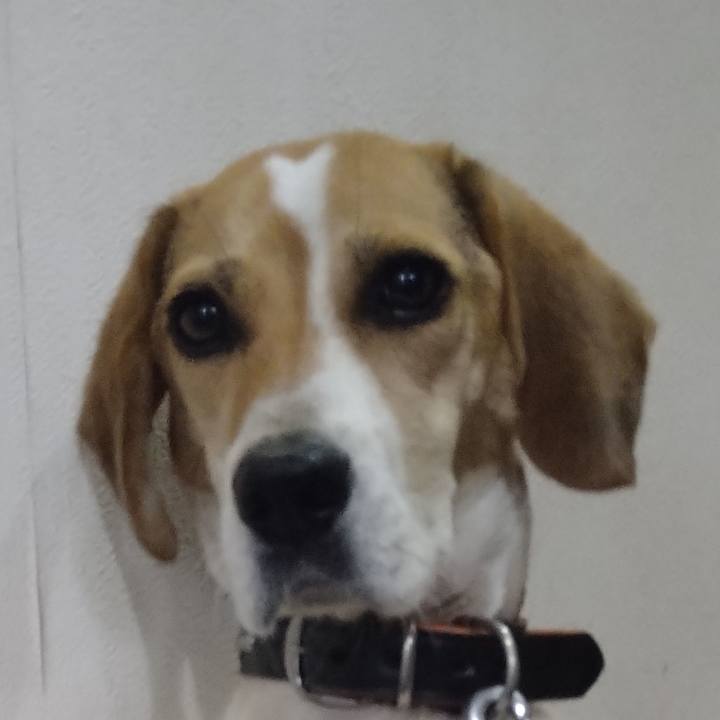 5b055321 d97c 47f5 82d9 a19147bac45c 1630757098158