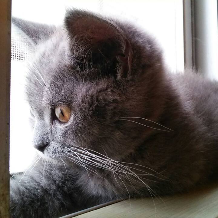 5b0561f9 132a 47a2 90b2 fff8a2edc518 1531357259379