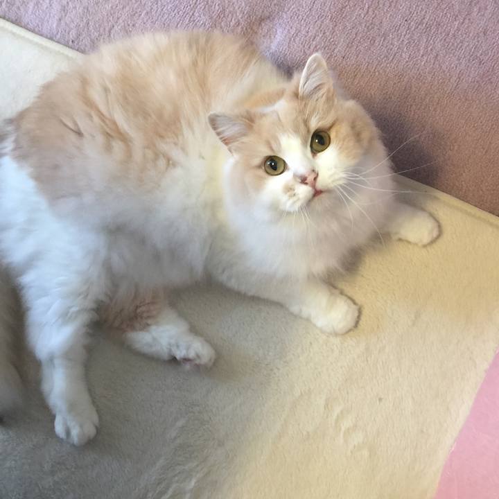 5b0574da d659 4194 afd7 dfec06e7ae43 1569659923596