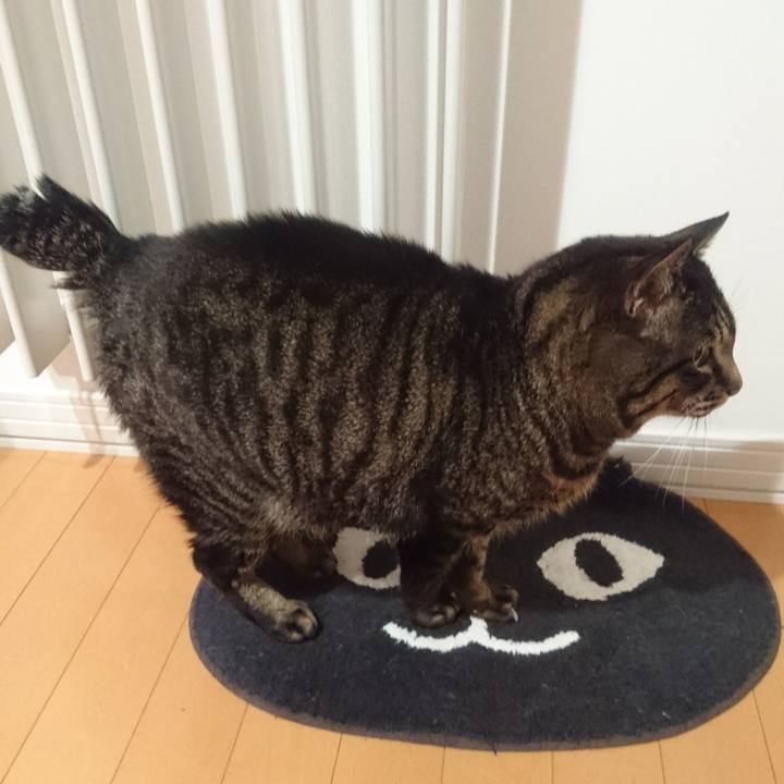 5b05987f 50ef 439c bbbd 74716dfd6460 1520502101105