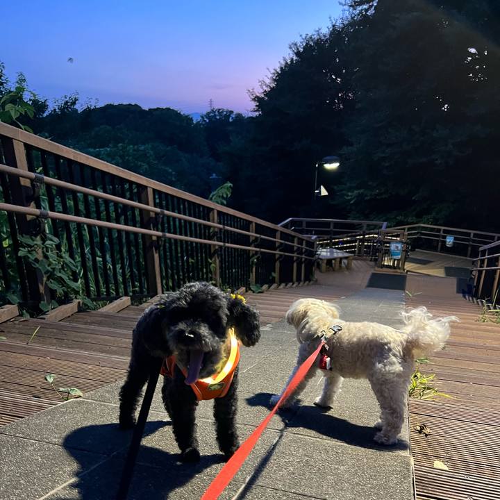 5b059aad aa34 4908 80a7 394cb07fc6b7 1755598989594