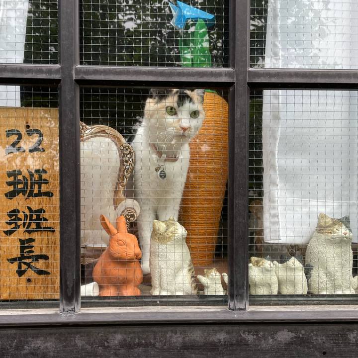 5b05af0a b824 4192 b571 c6a1296fdd13 1746138979900