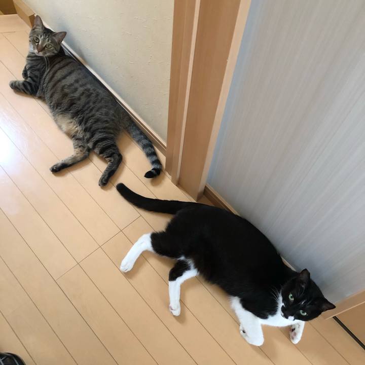 5b060efb e217 47a0 8b45 5c6a26d84562 1624824633486