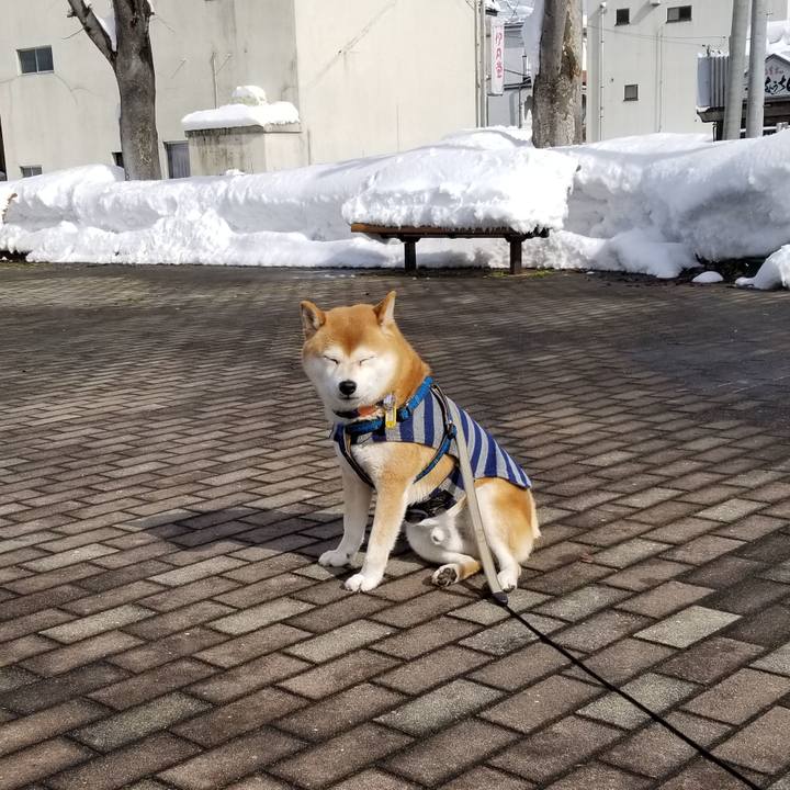 5b063aec 9ff1 476c 9f64 f4c89781c06d 1549772088577