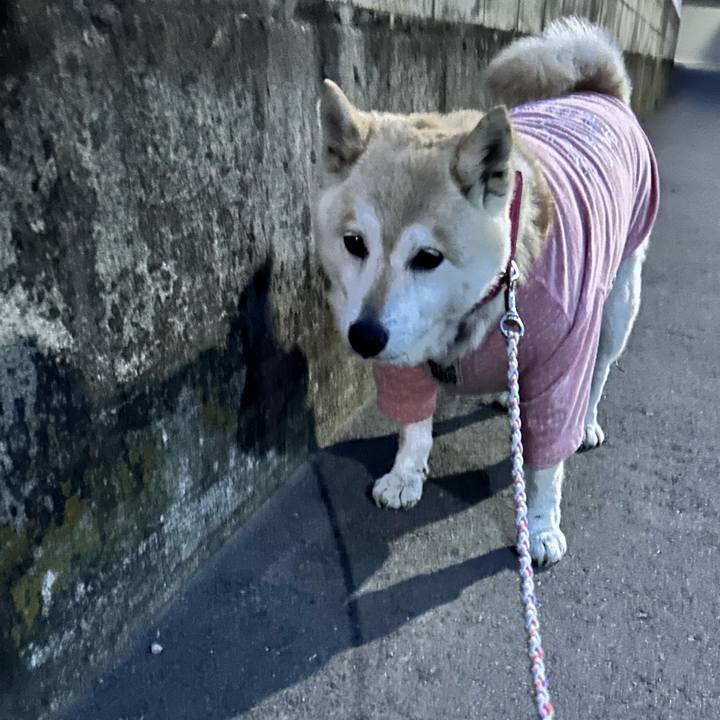 5b069b77 58ee 4f71 bdd6 718fc5156054 1748040836246