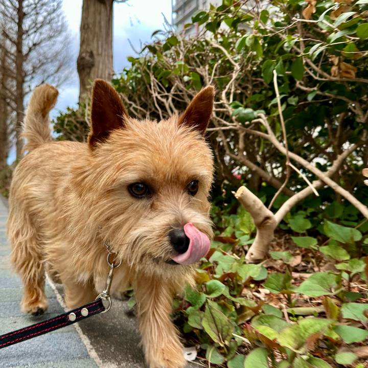 5b06a025 cbeb 47f5 8f4d 062925181f9e 1744030783585