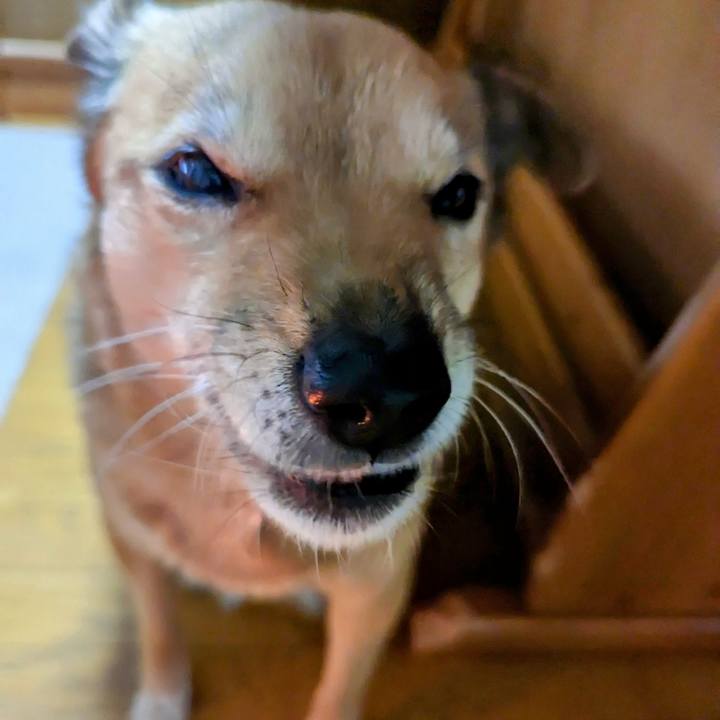 5b06c4a9 d9d9 4f4c 8137 45c643e07d07 1674811615646