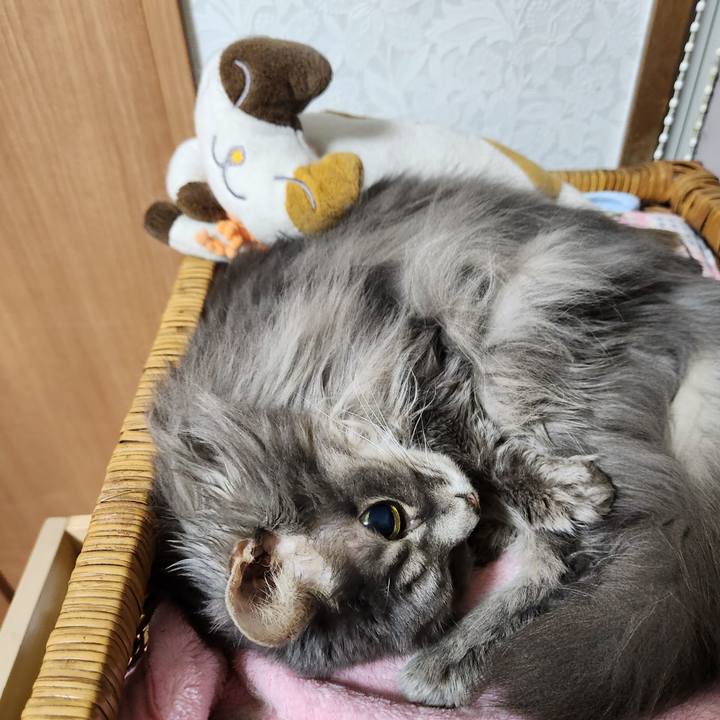 5b06ec72 1448 4c70 bdf7 2afcd24b807d 1704629724560