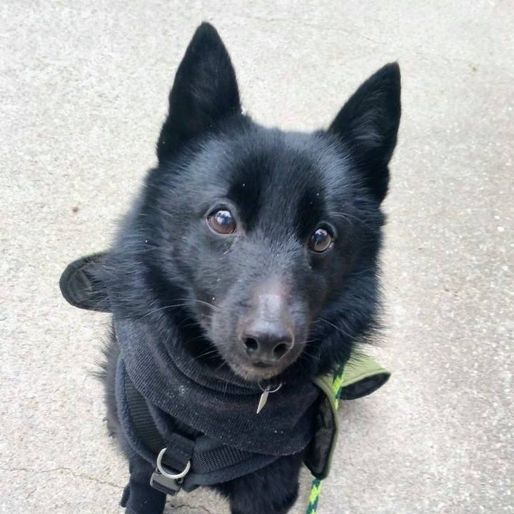 5b06f4a7 8ee0 48c7 9d59 4ba2f769b1eb 1769817522631