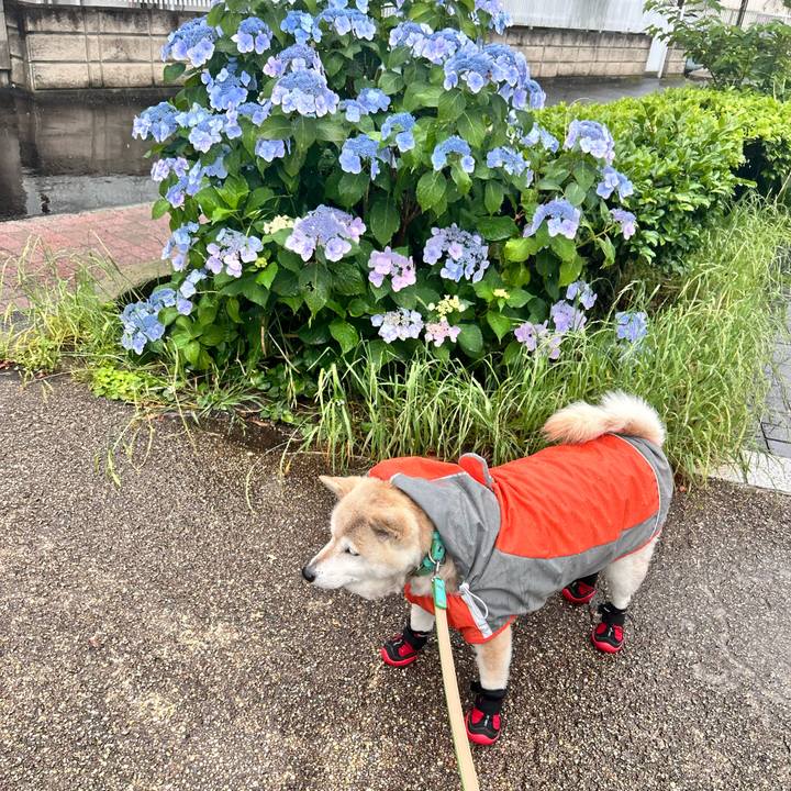 5b074851 0b1c 4350 898d d25ad1ecdd62 1748934283887