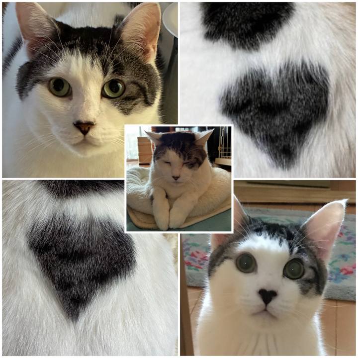 5b0783f8 cac3 4386 b080 09f8f3e7ac9d 1771023143284