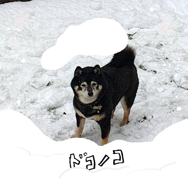 5b07e3d7 610d 49c3 a4ba 2d8e269095a1 1771815959707