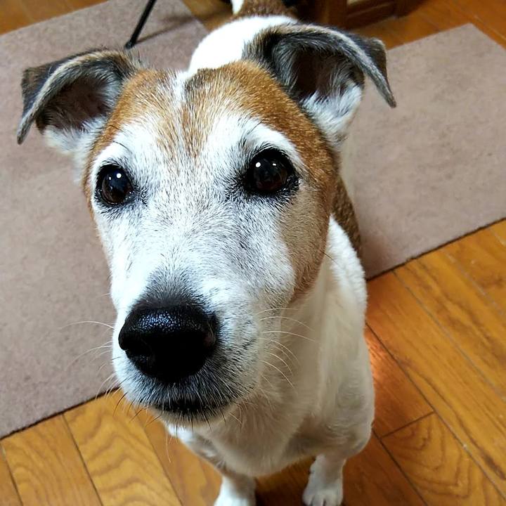 5b081769 6474 4a0d 87ab 1d9fbd13211b 1536790342211